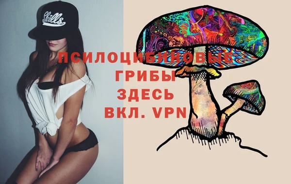 mix Новодвинск