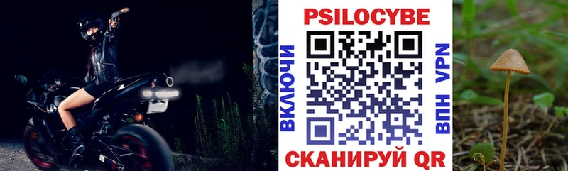 ссылка на мегу ссылки  Кимовск  Псилоцибиновые грибы Magic Shrooms  как найти закладки 