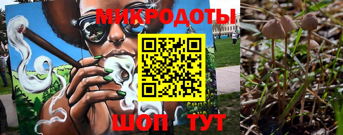 Псилоцибиновые грибы Psilocybine cubensis Кимовск