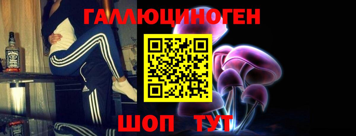 купить   Вход с VPN  Кимовск  Галлюциногенные грибы MAGIC MUSHROOMS 
